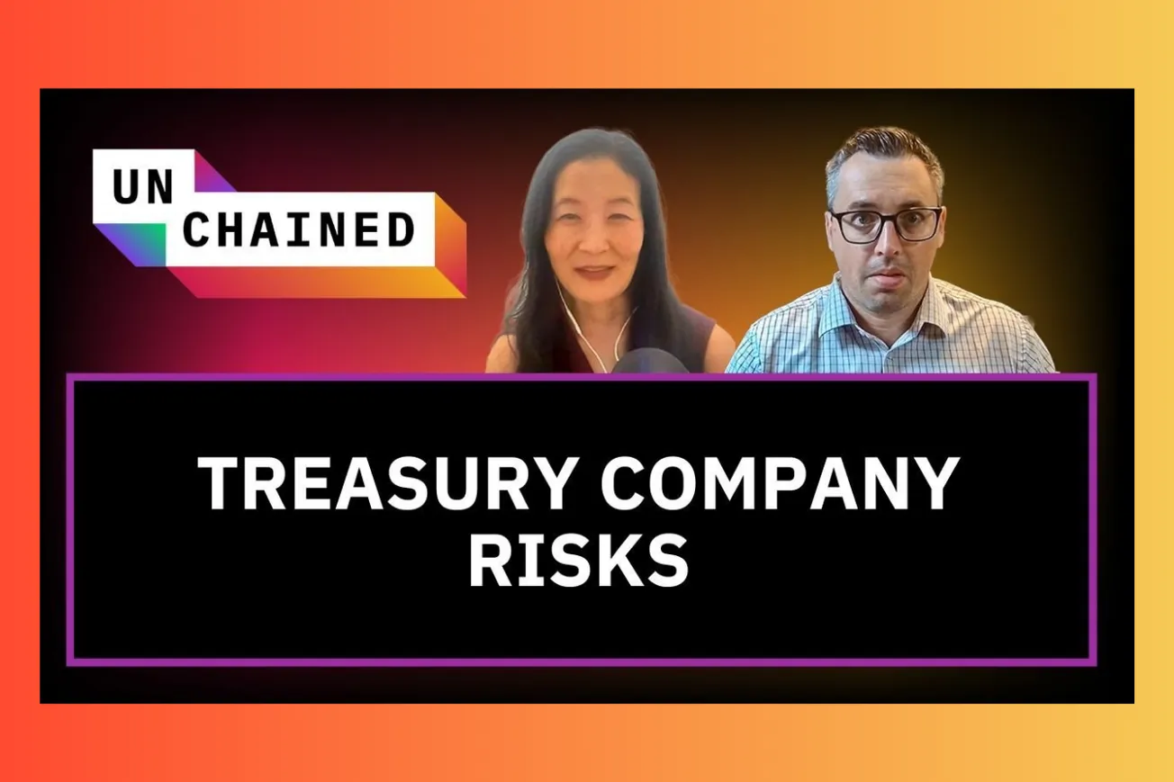 Are Crypto Treasury Companies Creating the Next Systemic Risk Crisis?