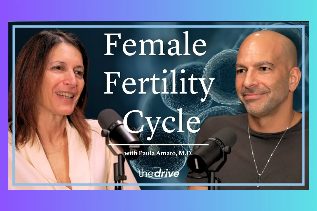 The Female Fertility Cycle: From 2 Million Eggs to One Perfect Moment