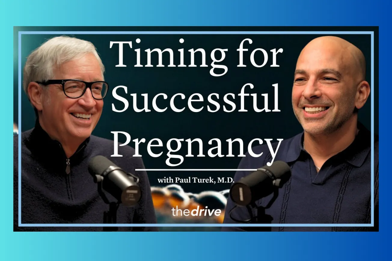 When to Have Sex for the Highest Chance of Getting Pregnant: Science-Based Timing Guide