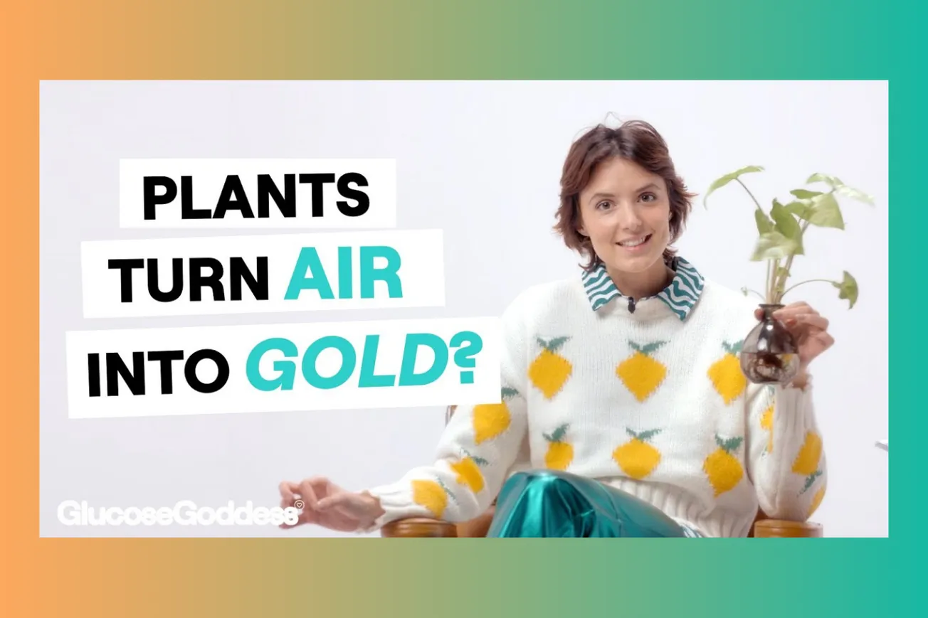 Glucose, Carbs, and the Truth About Energy: How Plants and Our Bodies Are Wired Together