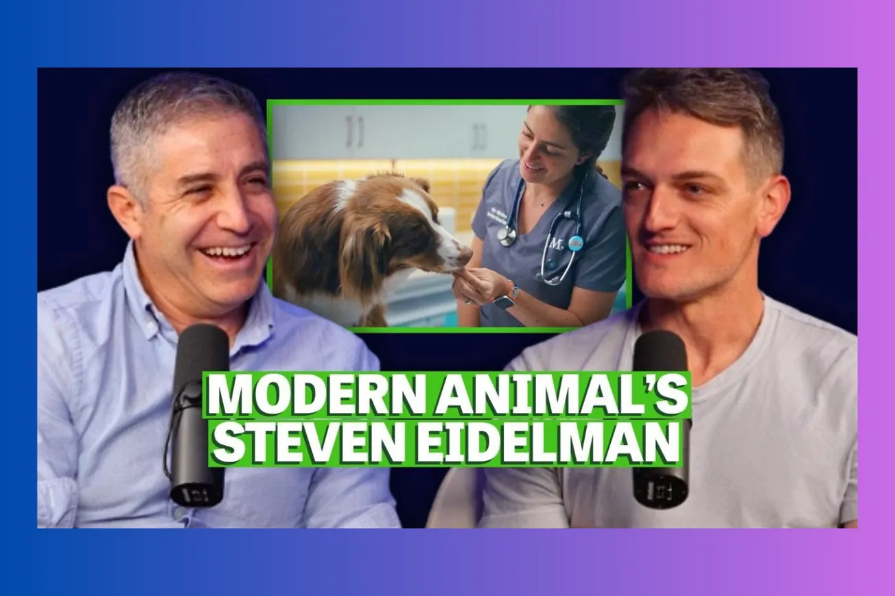 How Modern Animal Is Rebuilding Veterinary Care from Scratch to Fix a Broken Industry