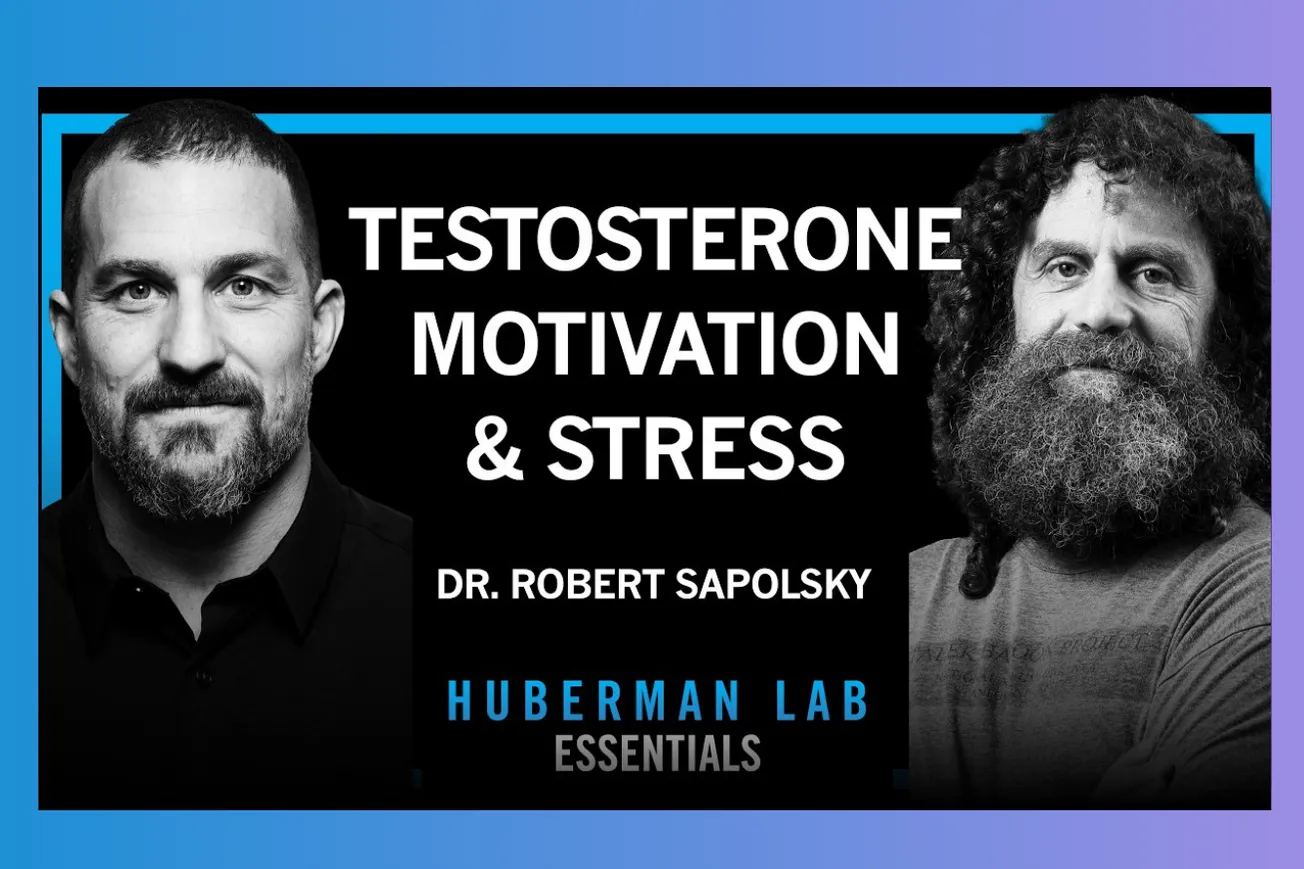Stanford's Robert Sapolsky Destroys Everything You Know About Testosterone and Stress