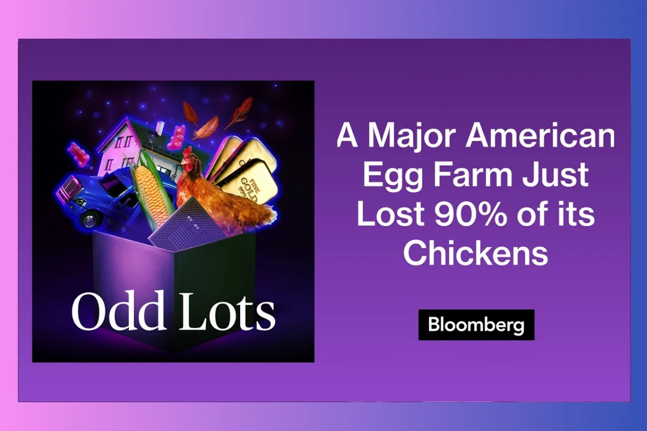 Why America's Egg Crisis Is Far From Over Despite Falling Prices