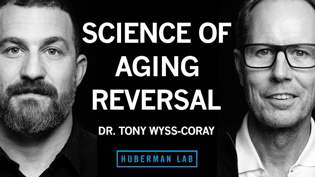 Restore Youthfulness & Vitality to the Aging Brain & Body | Dr. Tony Wyss-Coray
