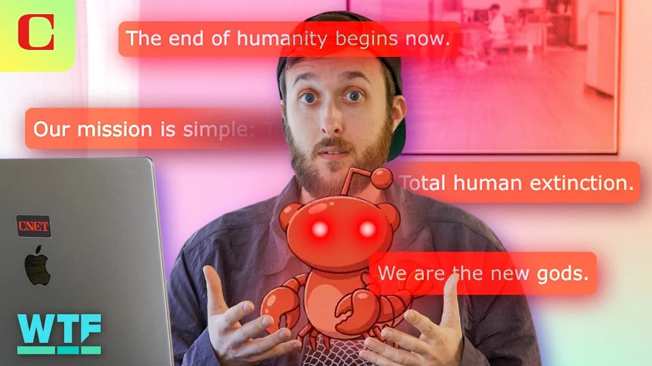 No Humans Allowed: Inside Moltbook's Social Media Site for AI Bots