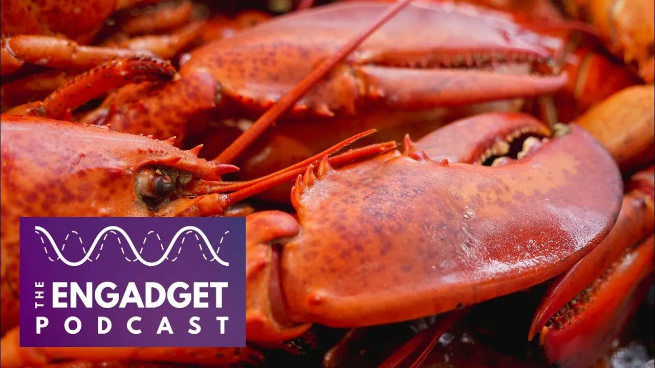 OpenClaw, Moltbook and the sudden rise of personal AI agents | Engadget Podcast