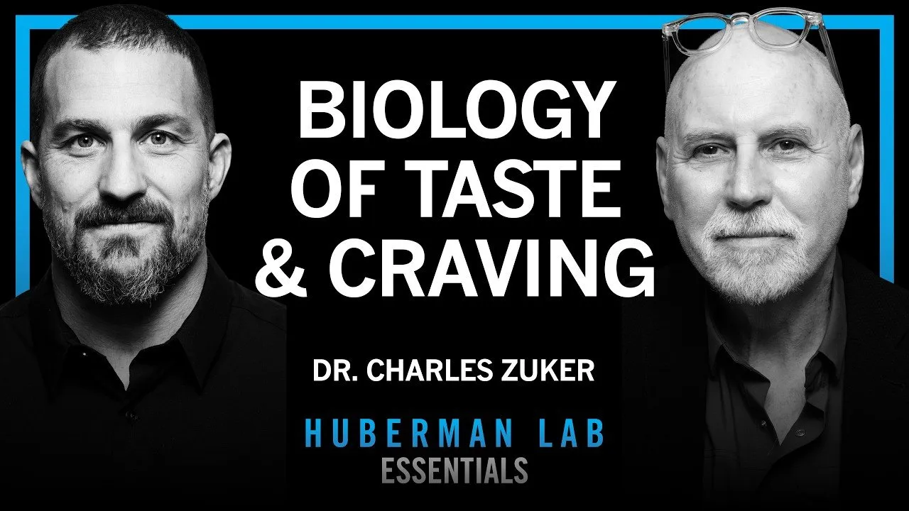 Essentials: The Biology of Taste Perception & Sugar Craving | Dr. Charles Zuker